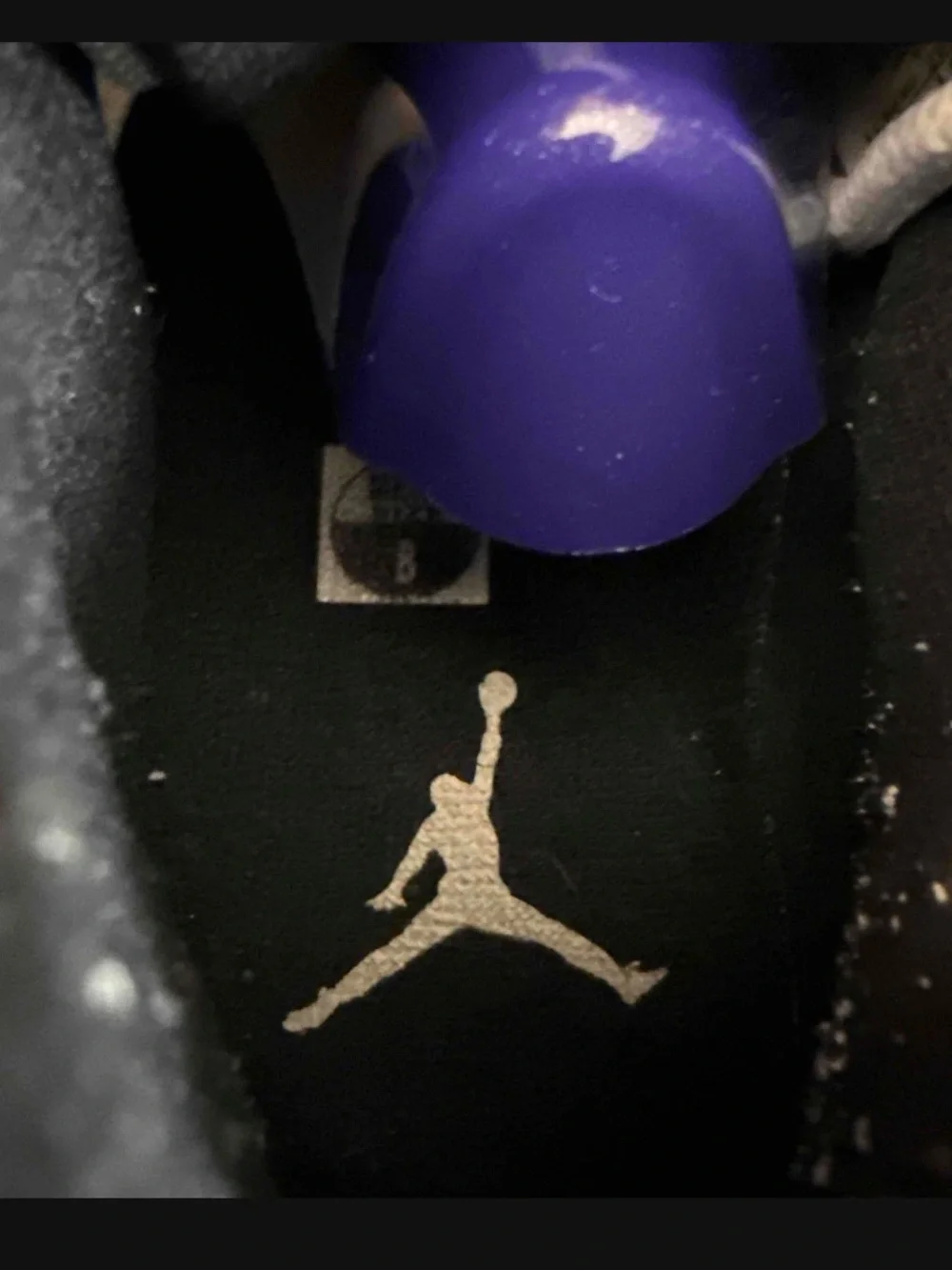 Jordan nike air